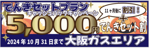 エルピオ大阪ガスセットキャンペーン2024年10月