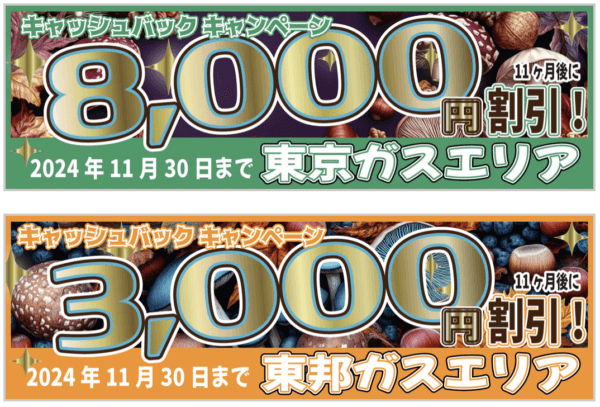 エルピオ東京ガス東邦ガスキャンペーン2024年11月