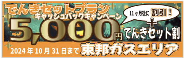 エルピオ東邦ガスセットキャンペーン2024年10月