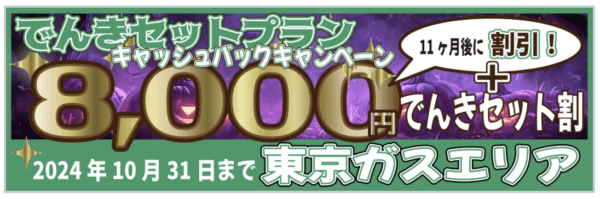 エルピオ東京ガスセットキャンペーン2024年10月